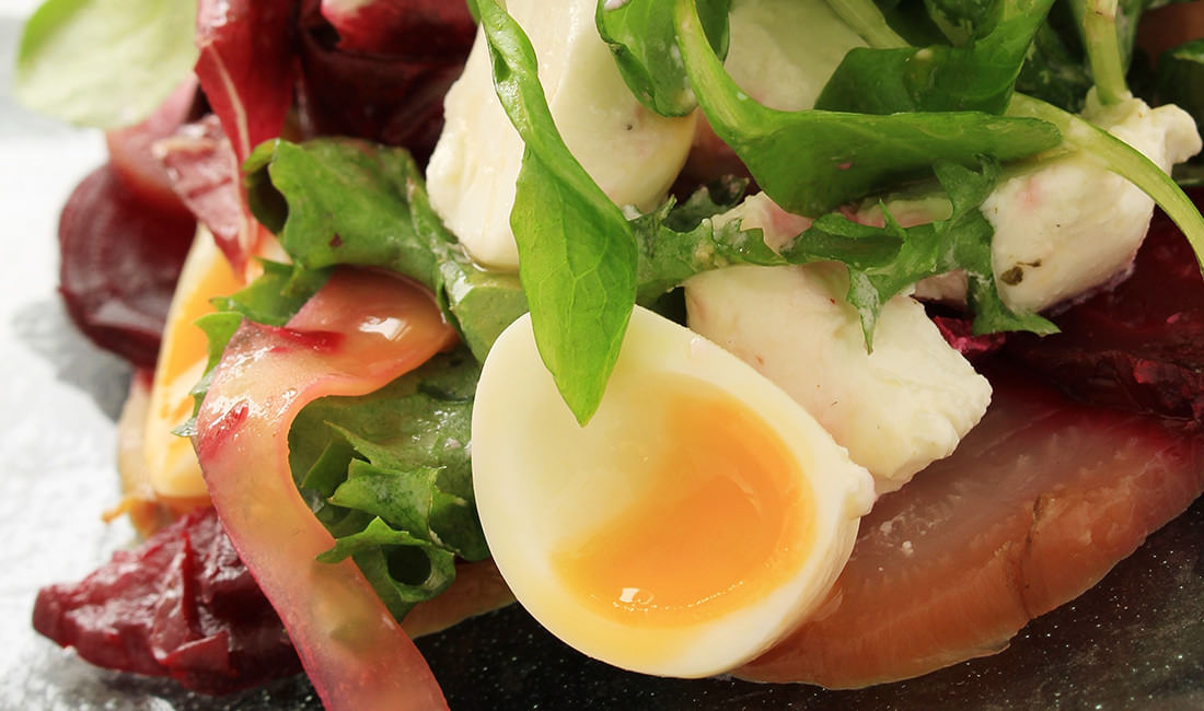 Eggjactly